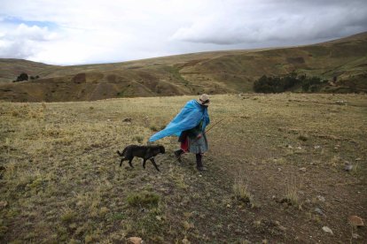Fotografía de archivo de un campesino que camina bajo la lluvia en Perú. EFE/ Paolo Aguilar