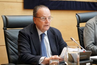 Mario Amilivia es el presidente del Consejo de Cuentas.