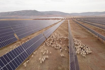 Placas solares.