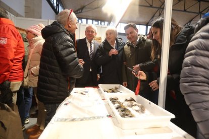 Nicanor Sen, Moisés González, Juan Delibes, Javier Cendón, Nuria Rubio y Octavio González, antes de llegar al recinto. Los auténticos gallos de pluma. Visita a uno de los expositores de la feria.
