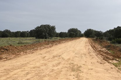 Calzada Romana de Castrocalbón, destruida en 2023 por maquinaria pesada.