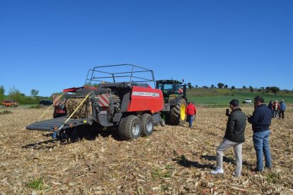 Prueba de empacado de paja de Reolum en Audanzas del Valle.