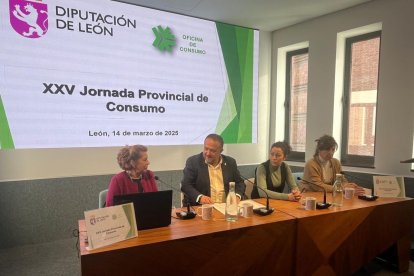 Parte de las jornadas en el Instituto Leonés de Cultura.