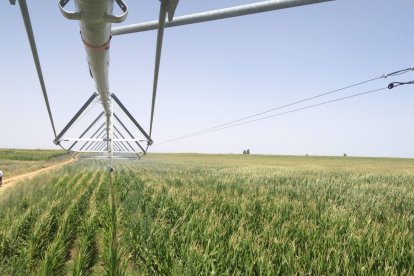 Pivot de riego en Villaestrigo del Páramo.