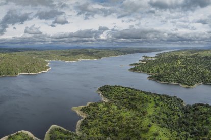 Carlos Criado - Europa Press