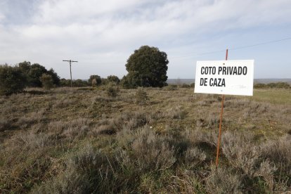Coto de caza en la provincia