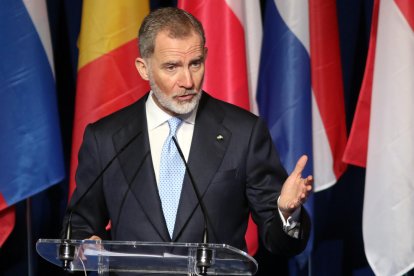 El rey Felipe VI durante su intervención en la inauguración del Foro sobre el futuro del Mediterráneo que se celebra este jueves en el Palacio de Congresos de Granada. EFE/ Pepe Torres