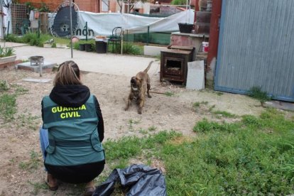 GUARDIA CIVIL