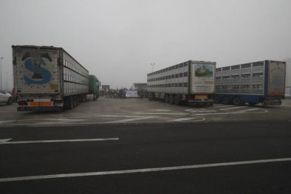 Vista de las instalaciones de Embutidos Rodríguez.