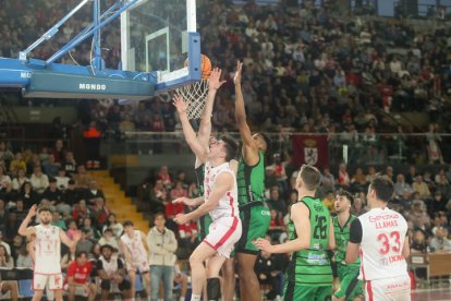 La Cultural jugará el partido de ida contra el Palma este domingo a las 19.30 en el Palacio de Deportes.
