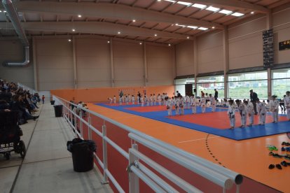 El judo leonés recuperó la disputa por equipos.