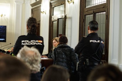 Un momento del juicio celebrado en la Audiencia.