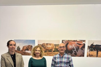 Un momento de la presentación de la muestra.