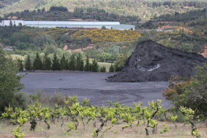 Últimos restos de la montaña de carbón que se acumulaba en el Pozo Alicia de Fabero, el viernes.