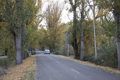 Carretera entre Gradefes y Puente Villarente, en una imagen de archivo.