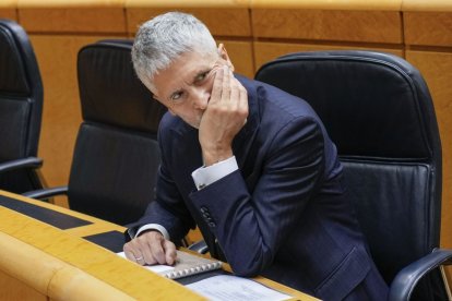 El ministro del Interior, Grande-Marlaska, durante un Pleno del Senado.