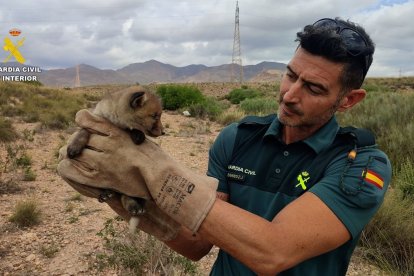 Un agente del Servicio de Protección de la Naturaleza (Seprona) de la Guardia Civil.