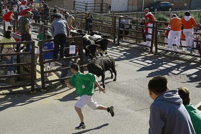 Los encierros con reses bravas son tradición en las fiestas, que incluyen una corrida de primera categoría con Román Collado (en la foto) y otros dos figuras.