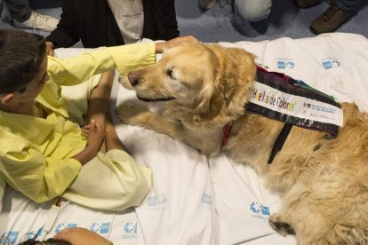 Un niño recibe la visita de un perro en un hospital español.