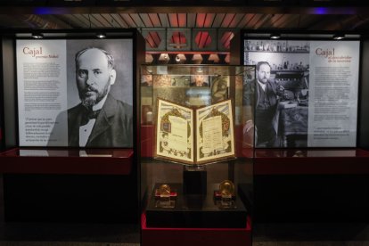 El Museo Nacional de Ciencias Naturales de Madrid, hogar temporal del legado de Santiago Ramón y Cajal.