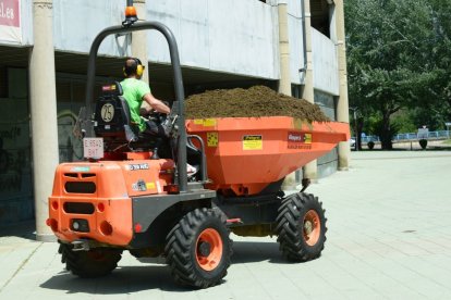 El cambio del césped del Reino es una prioridad.