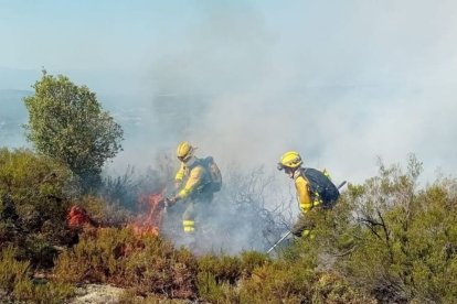 Trabajadores forestales en el incendio de Pardamaza.