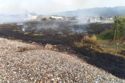 Finca afectada por el fuego en Posada del Bierzo.