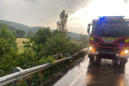 Árbol caído en la carretera de Vegaquemada.