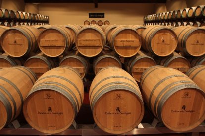 Castilla y León produjo el año pasado 104,7 millones de litros de vino de excelente calidad.