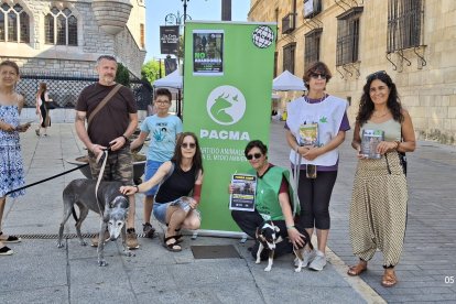 Un momento de la concentración del Pacma en Botines.
