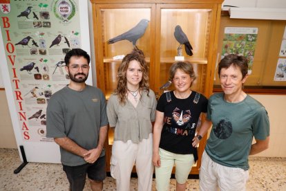 Carlos Guzón, Iria González, Vittorio Baglione y Daniela Canestrari, responsables del proyecto sobre las cornejas negras.
