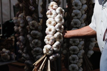 Feria Agroganadera y del Ajo de Veguellina.