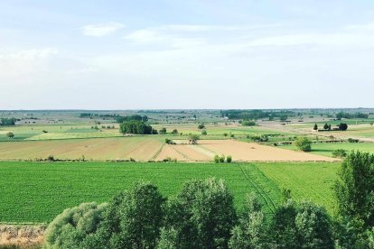 Fincas de cultivo en Valderas.
