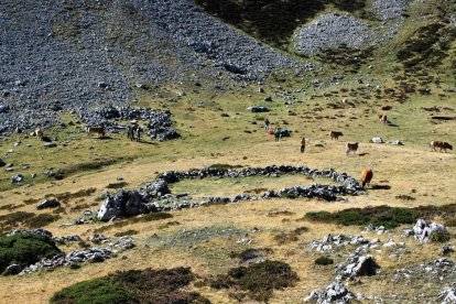 El PORN de Babia y Luna no dispone de cartografía sobre los pastos.