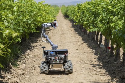 La viticultura española ya utiliza robots con inteligencia artificial para mejorar su producción.