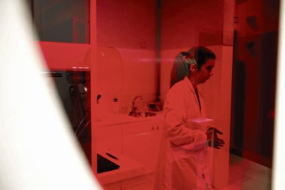 Una investigadora en uno de los laboratorios de la Universidad de León.