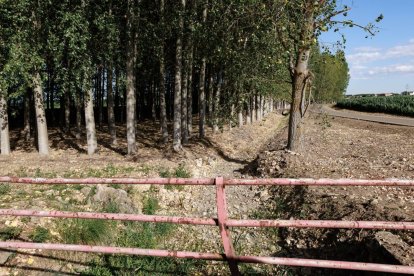 Uno de los canales secos por la falta de agua que dejó de llegar desde el 15 de mayo.