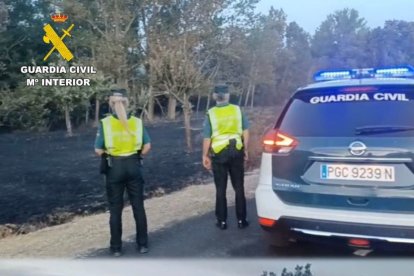 La investigación ha corrido a cargo del Seprona.