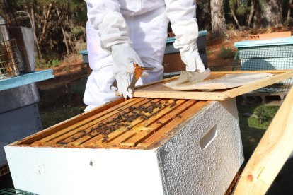 La miel tiene múltiples propiedades