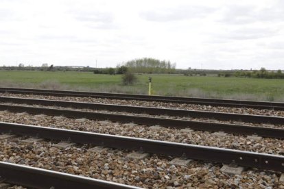 La hierba crece en la abandonada plataforma logística de Torneros al pie de las vías.