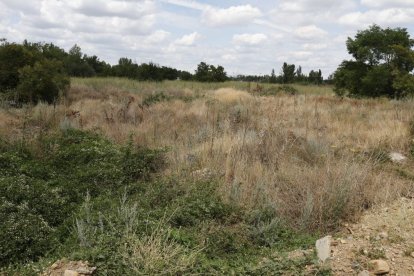 Los terrenos donde se instalarán las plantas y las canalizaciones de la red de calor.
