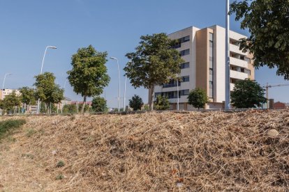 Uno de los solares en el barrio de La Lastra de León.