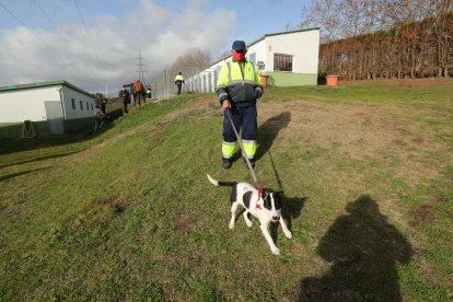 Un trabajador con un perro en las instalaciones del albergue municipal en el alto de Montearenas en Ponferrada.