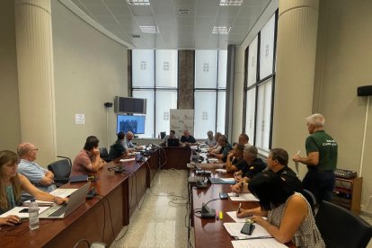 El Centro de Coordinación Operativa Integrado (Cecopi) reunido en la mañana de este domingo.
