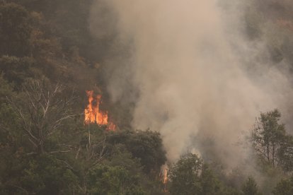 El accidente se produjo el domingo por la nohe