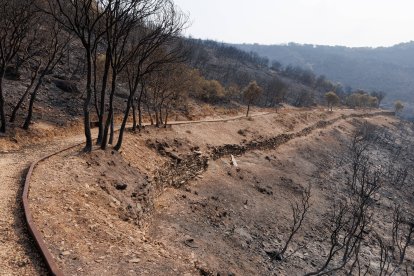 Imagen de uno de los canales calcinados de La Cabrera