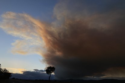 El humo del incendio de Fasgar, sobre La  Cepeda.