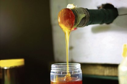 La transformación de la miel en polvo resuelve limitaciones logísticas y técnicas de la miel líquida. santiago carbone