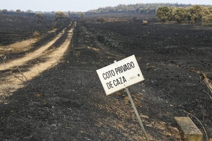 Una zona arrasada al suroeste de León.