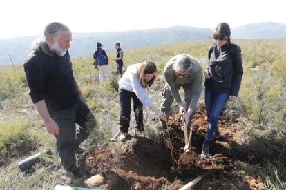 Entre los diferentes talleres del Selfest habrá plantación de árboles.